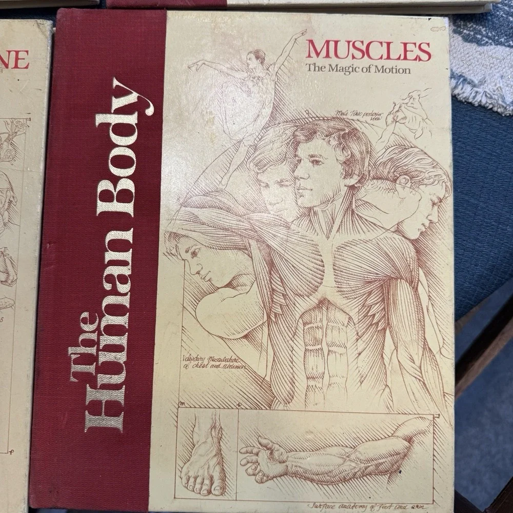Vintage 80's The Human Body Book Lot 6 HC US News Books Anatomy Science Medical